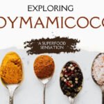 Soymamicoco