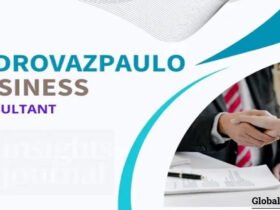 Pedrovazpaulo Business Consultant